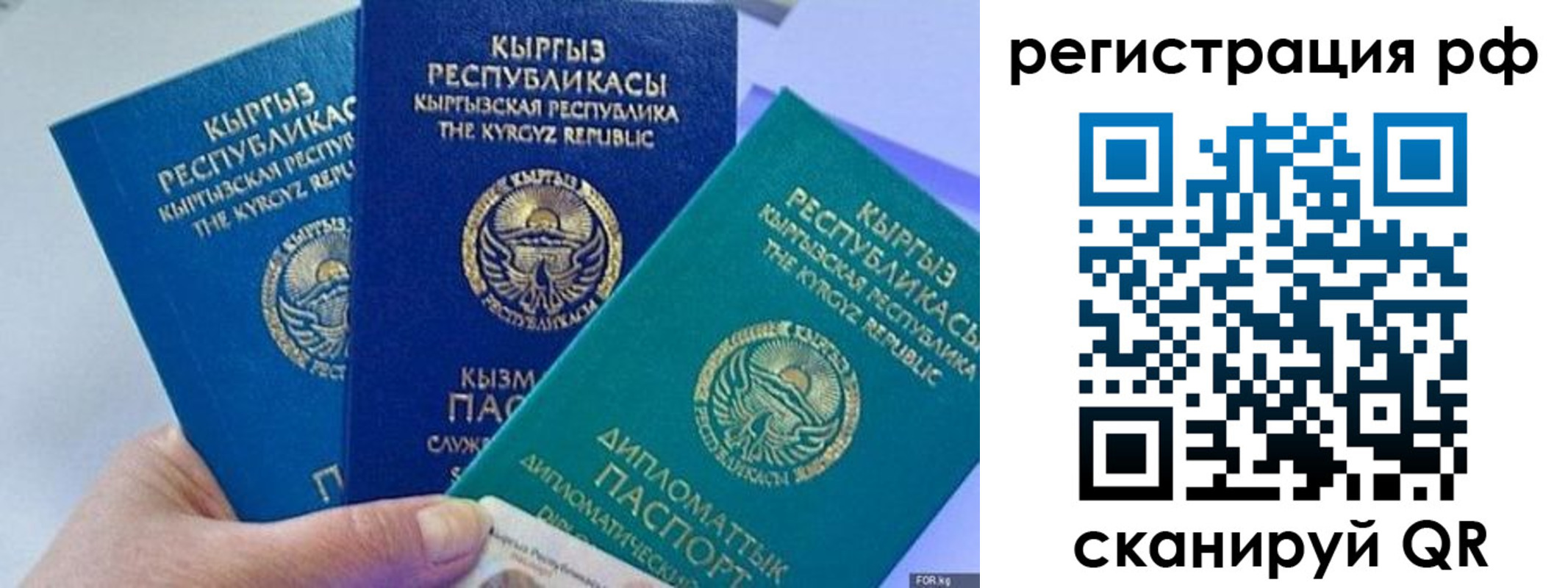 прописка для школы в Новокузнецке
